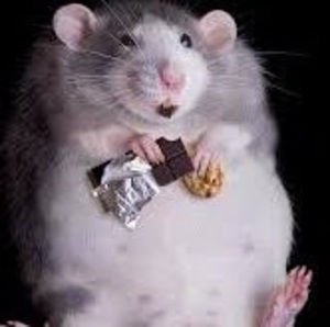 Meet your Posher, Jeanna